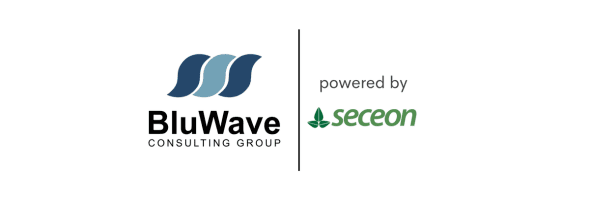 BluWave Consulting Group/Seceon